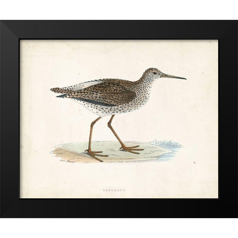 Morris Sandpiper V Black Modern Wood Framed Art Print by Morris