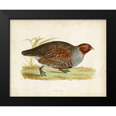 Morris Pheasants I Black Modern Wood Framed Art Print by Morris