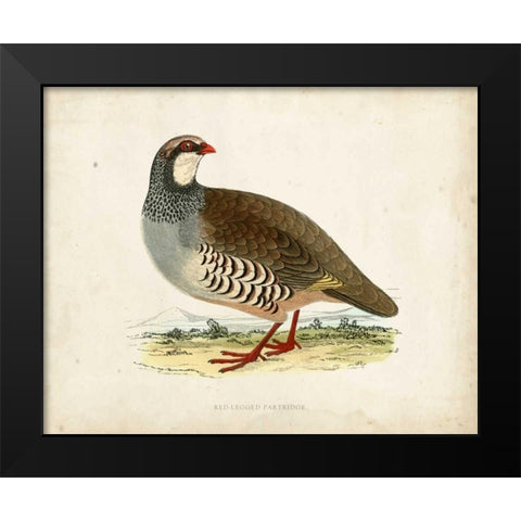 Morris Pheasants II Black Modern Wood Framed Art Print by Morris