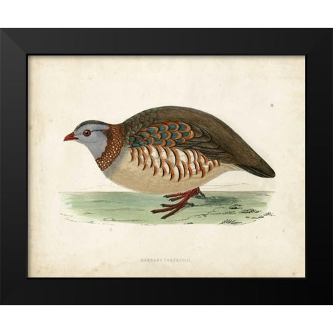Morris Pheasants III Black Modern Wood Framed Art Print by Morris