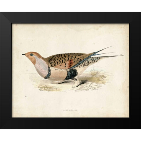 Morris Pheasants V Black Modern Wood Framed Art Print by Morris