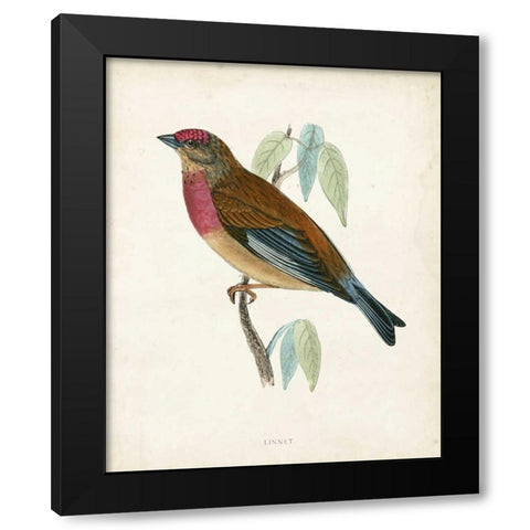 Morris Linnet Black Modern Wood Framed Art Print by Morris
