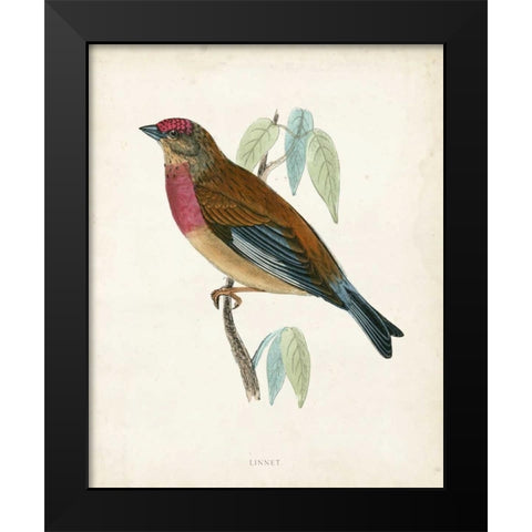 Morris Linnet Black Modern Wood Framed Art Print by Morris