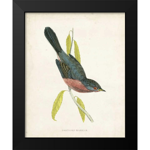 Morris Dartford Warbler Black Modern Wood Framed Art Print by Morris