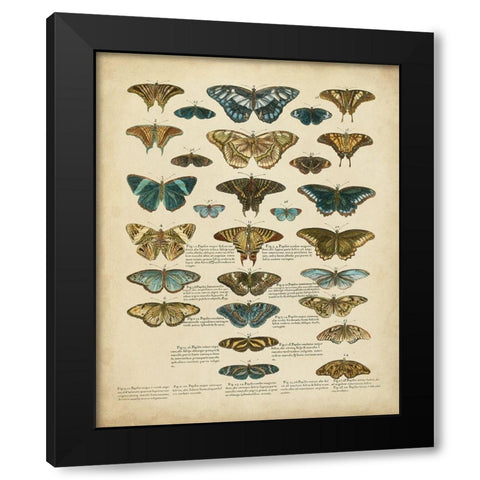 Tabula de Papilio Black Modern Wood Framed Art Print with Double Matting by Sloan