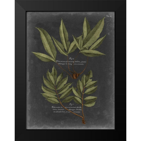 Foliage Dramatique IV Black Modern Wood Framed Art Print by Vision Studio