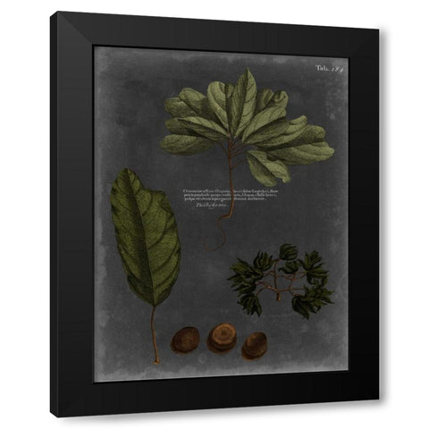 Foliage Dramatique VI Black Modern Wood Framed Art Print by Vision Studio