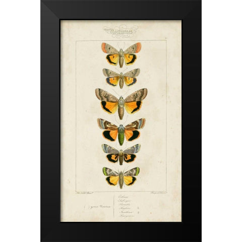 Pauquet Butterflies I Black Modern Wood Framed Art Print by Pauquet