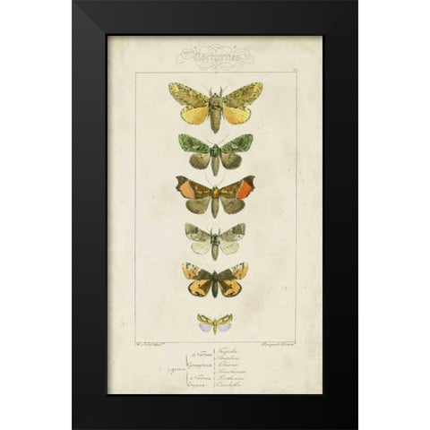 Pauquet Butterflies II Black Modern Wood Framed Art Print by Pauquet