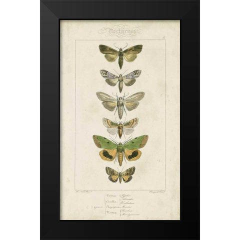Pauquet Butterflies III Black Modern Wood Framed Art Print by Pauquet
