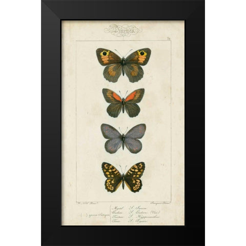 Pauquet Butterflies V Black Modern Wood Framed Art Print by Pauquet