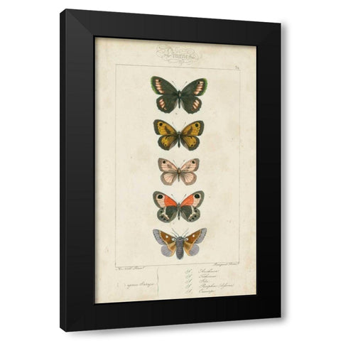 Pauquet Butterflies VI Black Modern Wood Framed Art Print by Pauquet