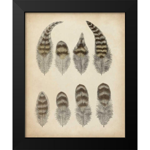 Vintage Feathers I Black Modern Wood Framed Art Print by Unknown
