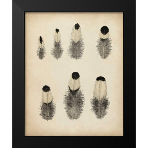 Vintage Feathers II Black Modern Wood Framed Art Print by Unknown