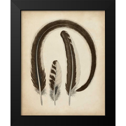 Vintage Feathers III Black Modern Wood Framed Art Print by Unknown