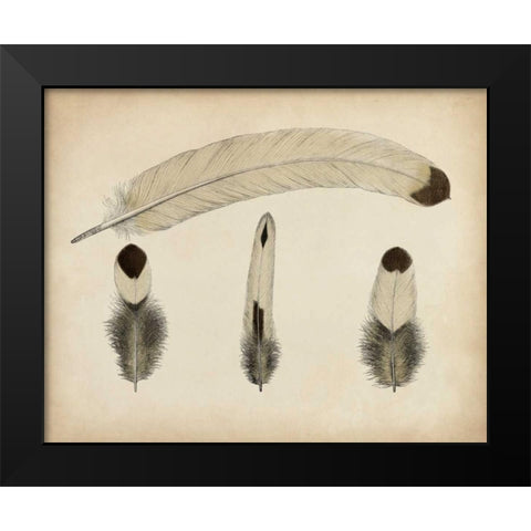 Vintage Feathers V Black Modern Wood Framed Art Print by Unknown