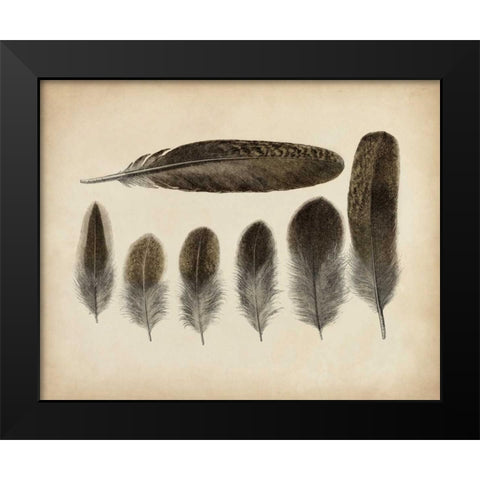Vintage Feathers VI Black Modern Wood Framed Art Print by Unknown