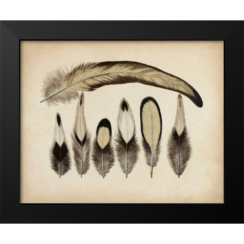 Vintage Feathers VII Black Modern Wood Framed Art Print by Unknown