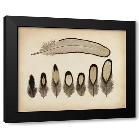 Vintage Feathers IX Black Modern Wood Framed Art Print with Double Matting by Unknown