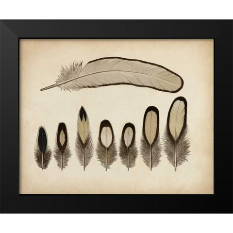Vintage Feathers IX Black Modern Wood Framed Art Print by Unknown