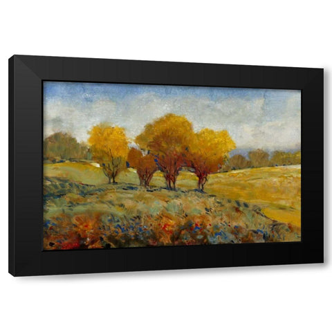 Vivid Brushstrokes I Black Modern Wood Framed Art Print with Double Matting by OToole, Tim