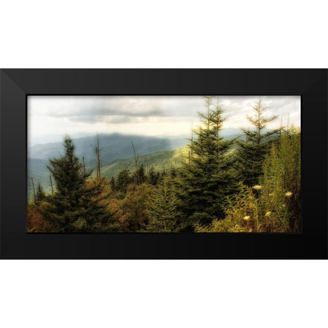 Custom Early Autumn Vista (ASH) Black Modern Wood Framed Art Print by Head, Danny