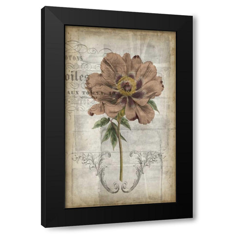 French Floral II Black Modern Wood Framed Art Print with Double Matting by Goldberger, Jennifer