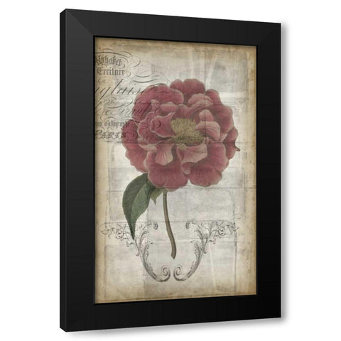 French Floral III Black Modern Wood Framed Art Print by Goldberger, Jennifer