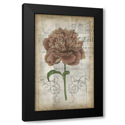 French Floral IV Black Modern Wood Framed Art Print with Double Matting by Goldberger, Jennifer