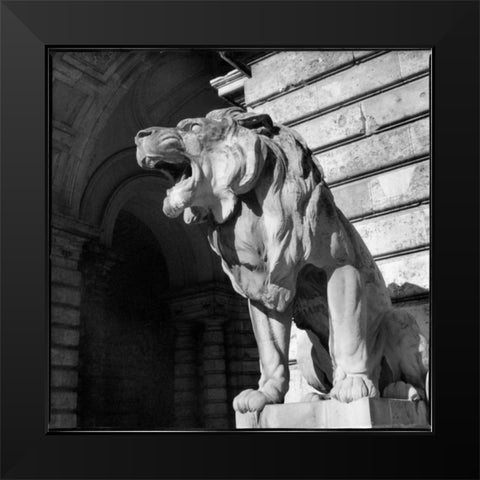 Architecture Detail VI Budapest Black Modern Wood Framed Art Print by DeNardo, Laura