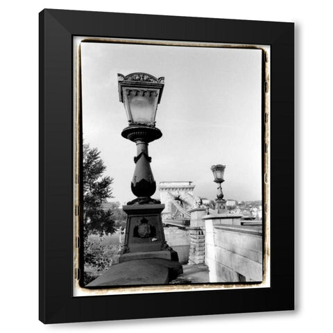 Chain Bridge over the Danube River Black Modern Wood Framed Art Print with Double Matting by DeNardo, Laura