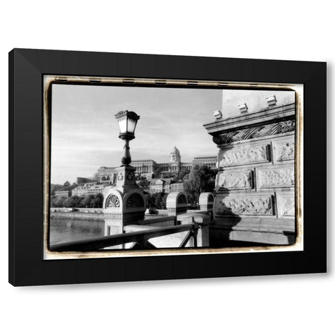 View of the Royal Palace, Budapest Black Modern Wood Framed Art Print by DeNardo, Laura