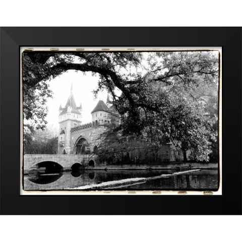 Vajdahunyad Castle, Budapest Black Modern Wood Framed Art Print by DeNardo, Laura