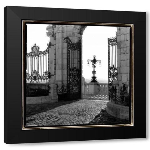 Gates to the Royal Palace, Budapest Black Modern Wood Framed Art Print by DeNardo, Laura