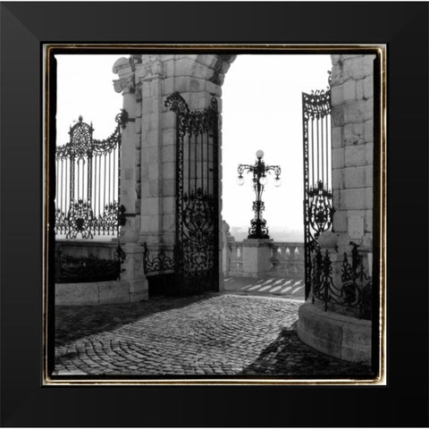 Gates to the Royal Palace, Budapest Black Modern Wood Framed Art Print by DeNardo, Laura