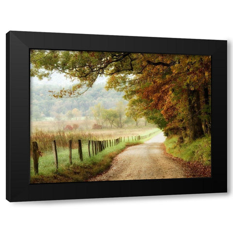 Autumn on a Country Road Black Modern Wood Framed Art Print by Head, Danny