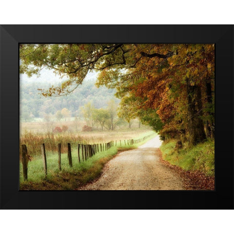 Autumn on a Country Road Black Modern Wood Framed Art Print by Head, Danny