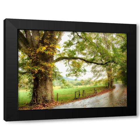 Wet Path Black Modern Wood Framed Art Print with Double Matting by Head, Danny