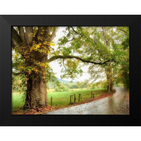 Wet Path Black Modern Wood Framed Art Print by Head, Danny
