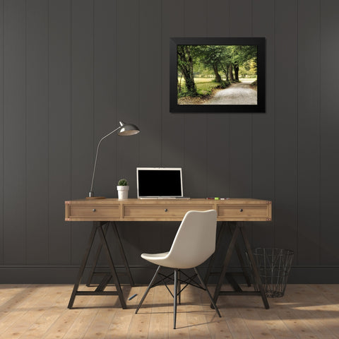 Path in the Country Black Modern Wood Framed Art Print by Head, Danny