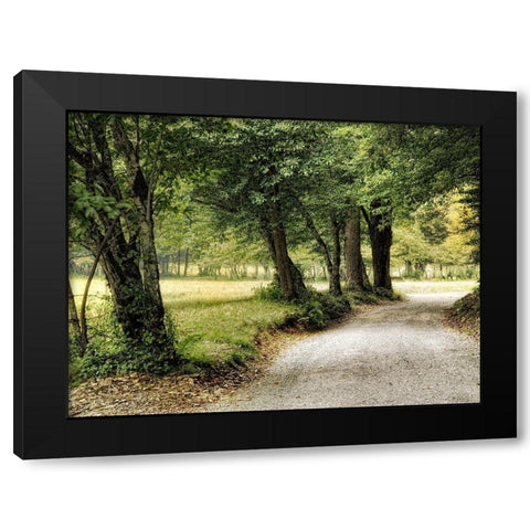 Path in the Country Black Modern Wood Framed Art Print with Double Matting by Head, Danny