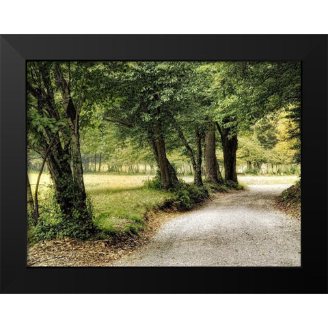Path in the Country Black Modern Wood Framed Art Print by Head, Danny