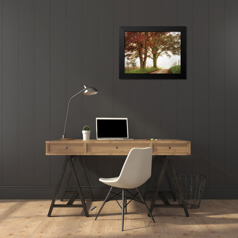 Two Oaks Black Modern Wood Framed Art Print by Head, Danny
