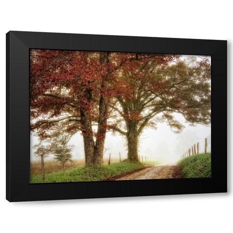 Two Oaks Black Modern Wood Framed Art Print by Head, Danny