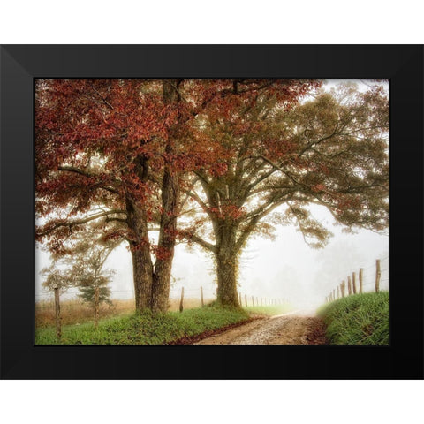 Two Oaks Black Modern Wood Framed Art Print by Head, Danny