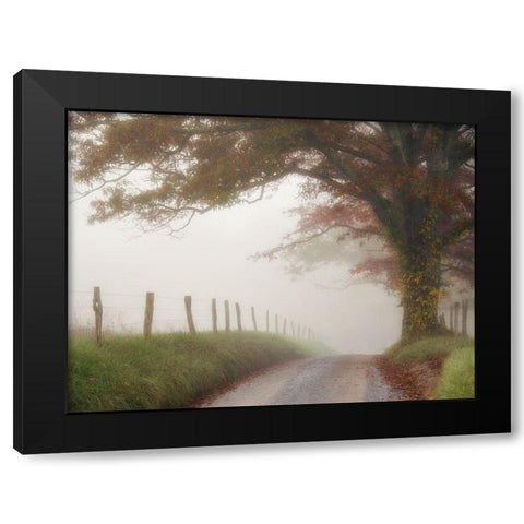 Blanket of Fog Black Modern Wood Framed Art Print with Double Matting by Head, Danny