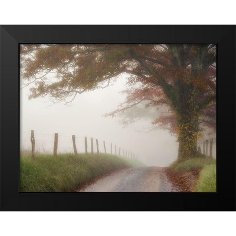 Blanket of Fog Black Modern Wood Framed Art Print by Head, Danny