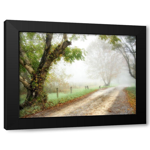 Feel the Silence Black Modern Wood Framed Art Print with Double Matting by Head, Danny