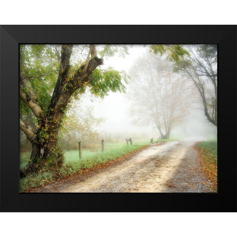 Feel the Silence Black Modern Wood Framed Art Print by Head, Danny