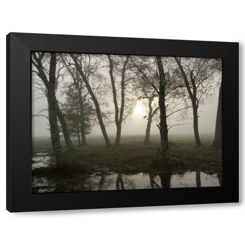Reflections of Nature Black Modern Wood Framed Art Print with Double Matting by Head, Danny